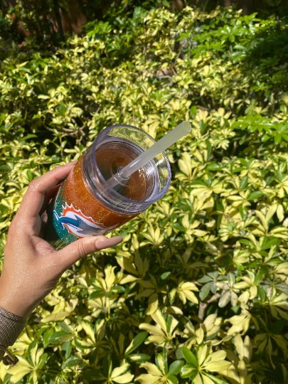 Miami Dolphins Glittered Stainless Steel Tumbler Stainless Steel Tumbler Personalize It By Belle