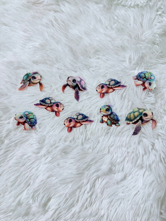 B41. Baby Multiple Turtles