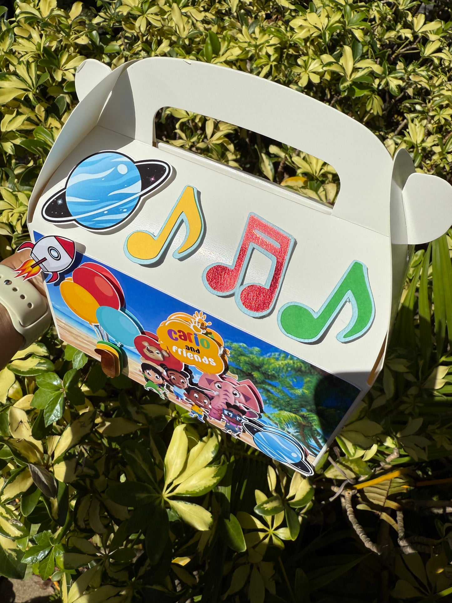 Kunda and Friends Inspired Favor Boxes, Party Decoration