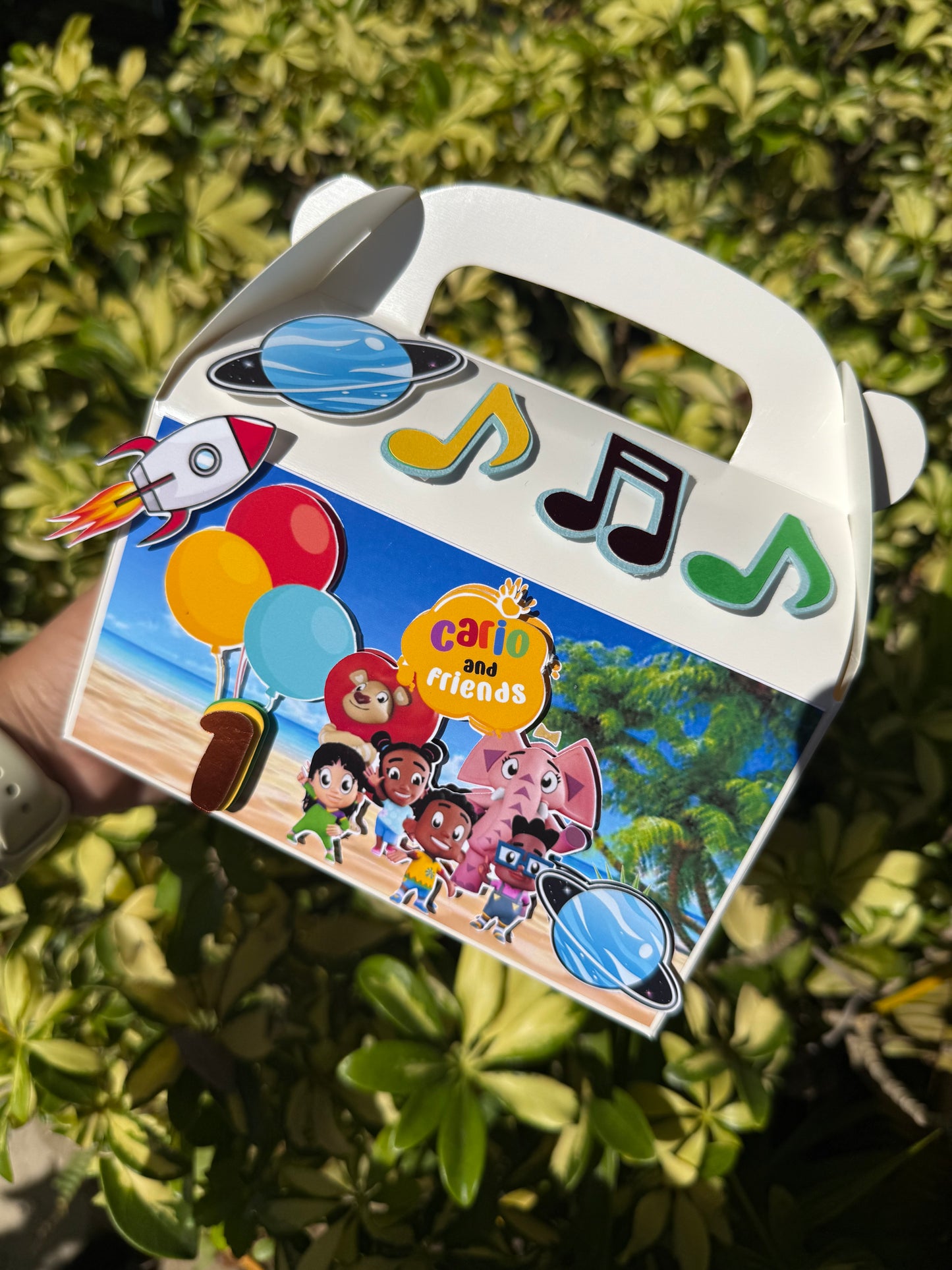 Kunda and Friends Inspired Favor Boxes, Party Decoration