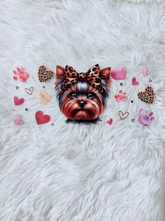 B42. Leopard Bow Yorkie