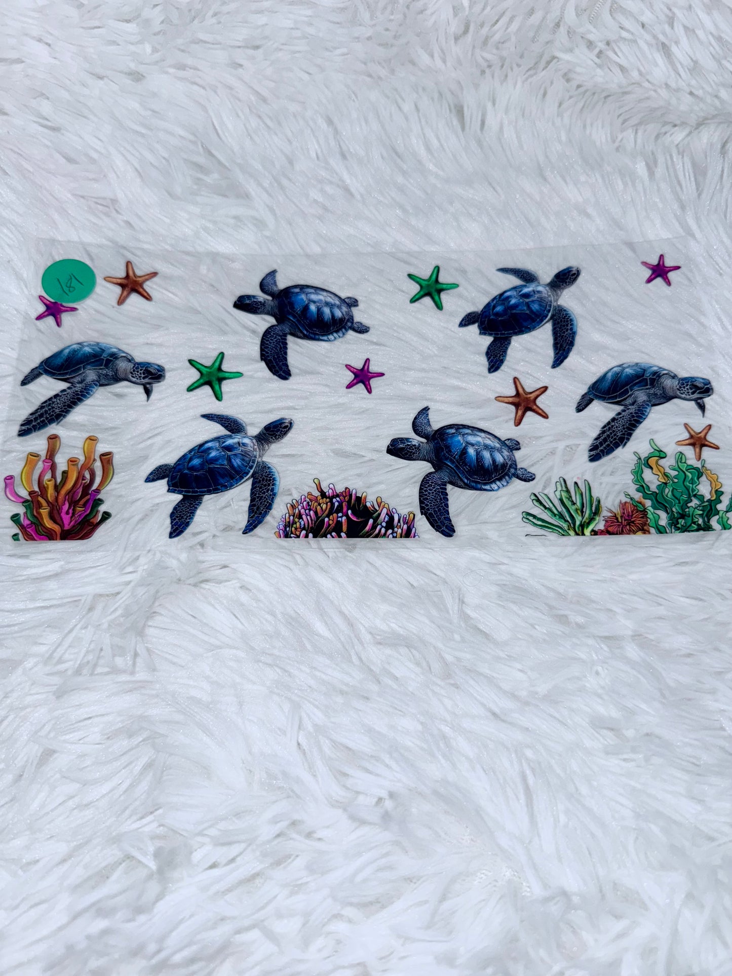 B181. Sea Turtles  Starfish