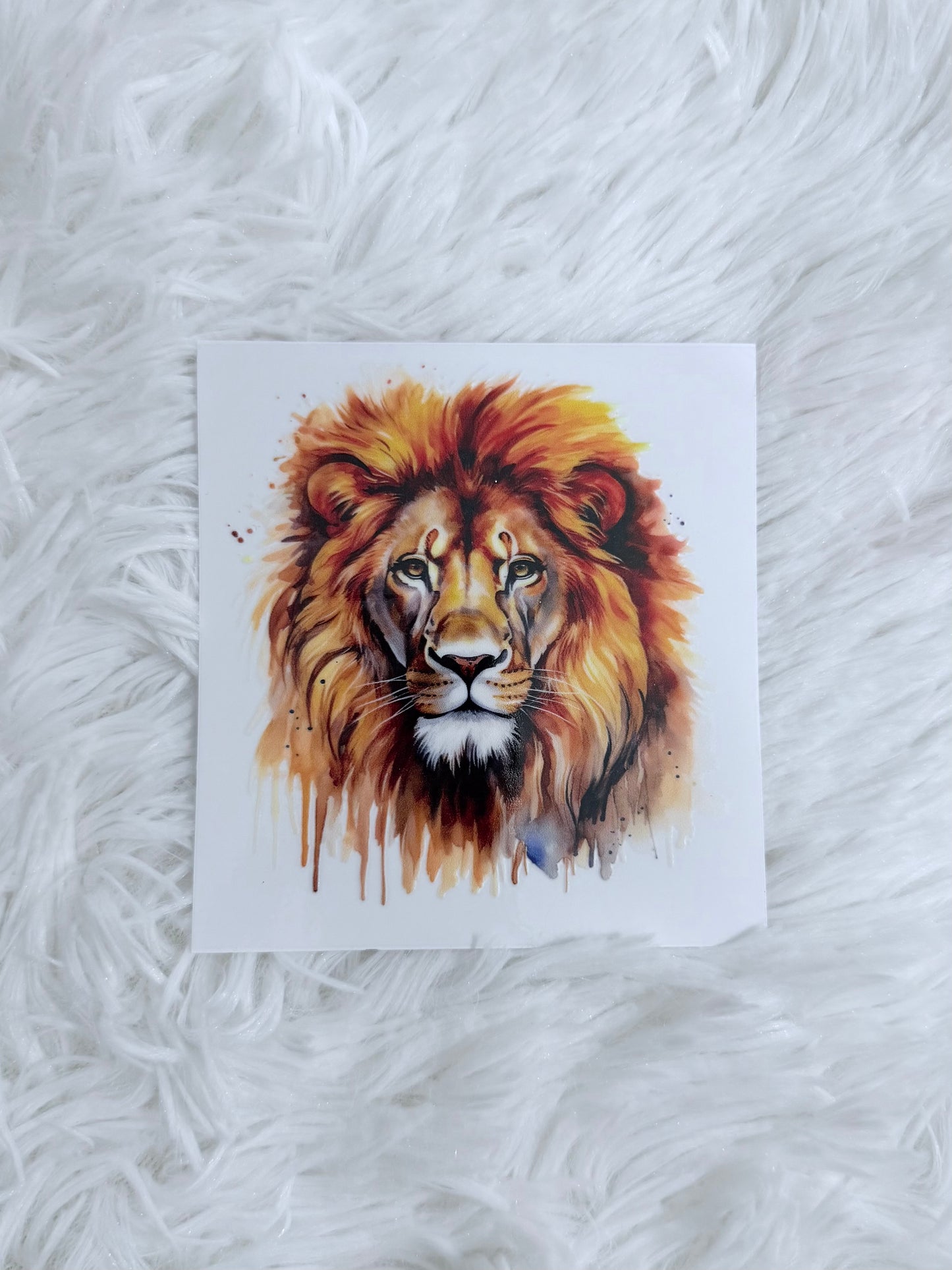 D46. Lion